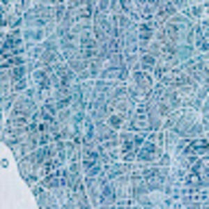 Meet your Posher, Elsa